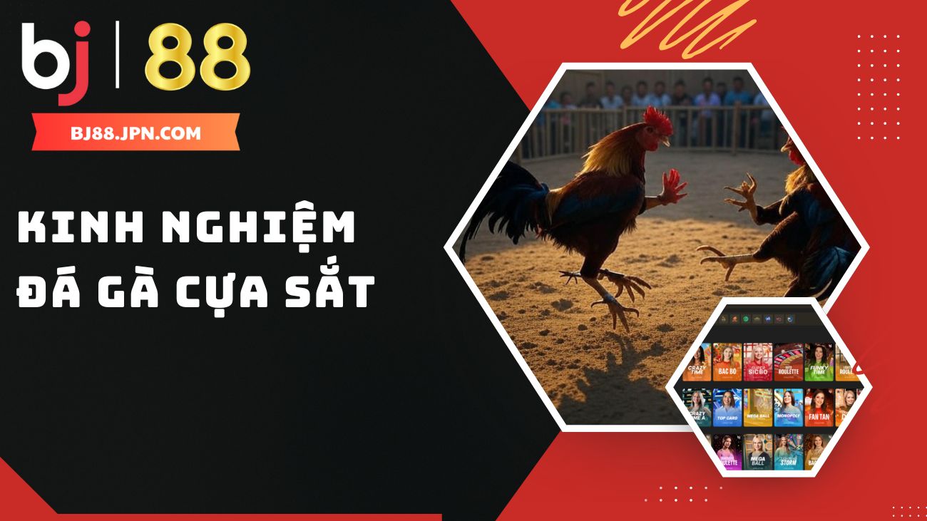 Kinh nghiệm đá gà cựa sắt Bj88