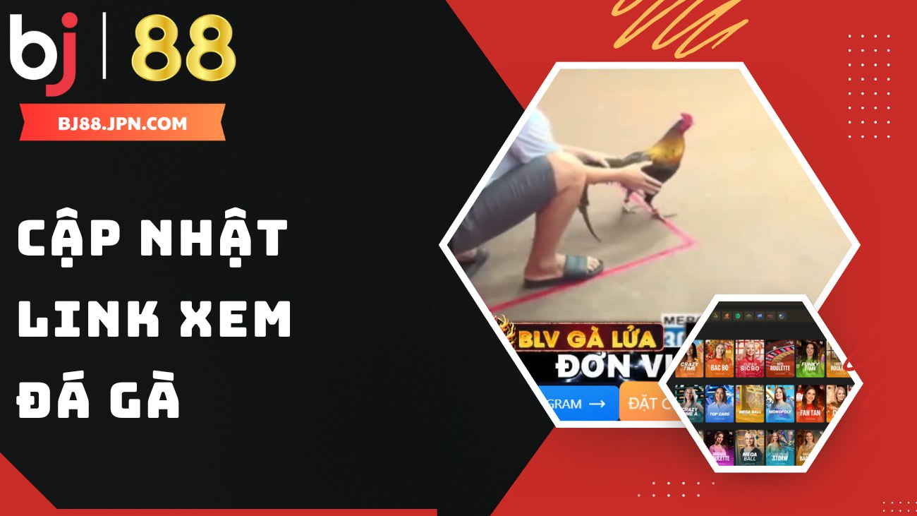 Cập nhật link xem đá gà trực tiếp hôm nay